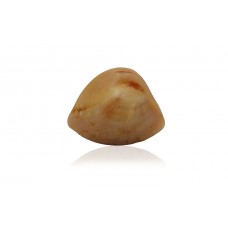 Natural Machmani 2.97Carat/ 3.26Ratti Origin: India